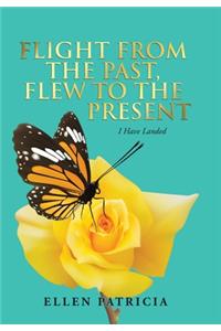 Flight from the Past, Flew to the Present