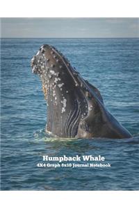 Humpback Whale 4x4 Graph 8x10 Journal Notebook