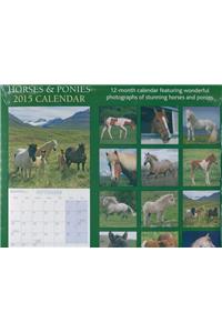 Horses & Ponies 2015 Wall Calendar 12x12