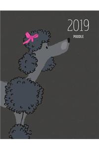 2019 Poodle