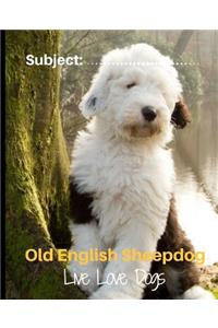 Old English Sheepdog - Live Love Dogs!