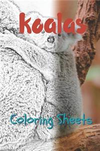 Koala Coloring Sheets