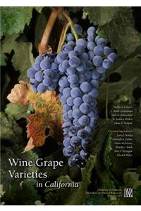 Wine Grape Varieties in California