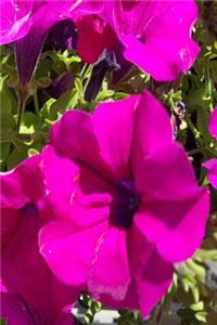 Floral Journal Pretty Purple Geraniums