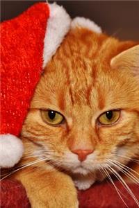 Kitty Cat in a Santa hat Journal