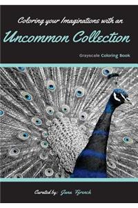 Coloring your Imaginations with Uncommon Collection
