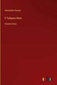 Tulipano Nero