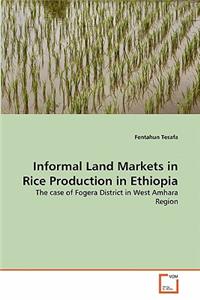 Informal Land Markets in Rice Production in Ethiopia