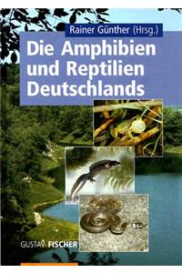 Die Amphibien Und Reptilien Deutschlands