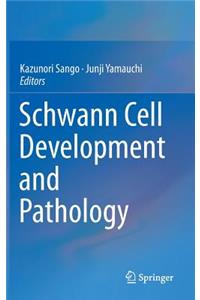 Schwann Cell Development and Pathology