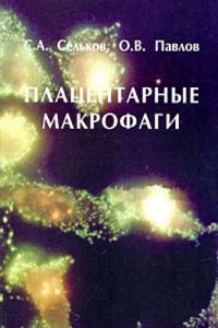 DIE WEISSAGUNG VON DER JUNGFRAU UND VOM