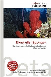 Ebnerella (Sponge)