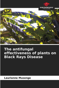 antifungal effectiveness of plants on Black Rays Disease