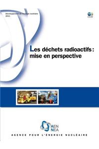 Developpement de L'Energie Nucleaire Les Dechets Radioactifs: Mise En Perspective