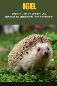 Igel