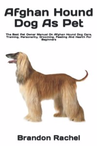 Afghan Hound Dog As Pet