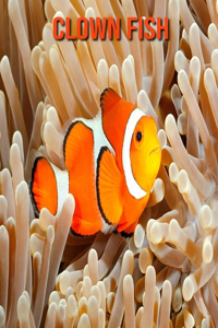 Clown Fish