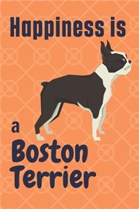 Happiness is a Boston Terrier