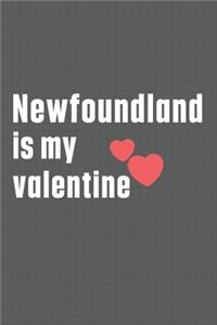 Newfoundland is my valentine