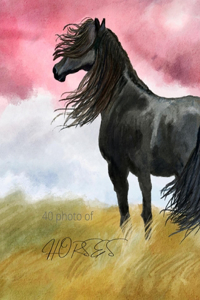 40 photo of horses