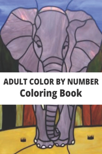 Adult color by number Coloring Book