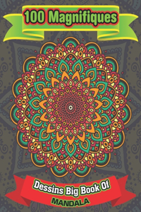 100 Magnifiques Dessins Big Book Of mandala