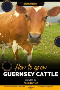 Guernsey Cattle