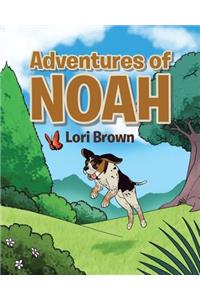 Adventures of Noah