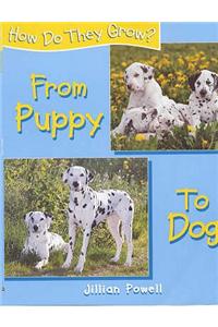 How Do They Grow: Puppy To Dog