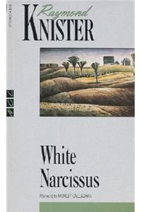 White Narcissus