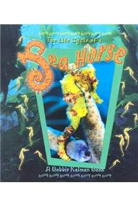 Life Cycle of a Sea Horse