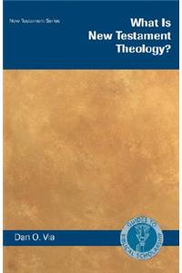 What Is New Testament Theology?