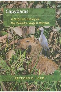 Capybaras
