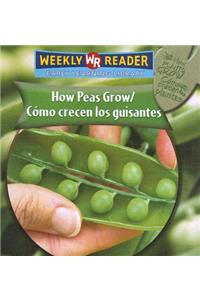 How Peas Grow / Cómo Crecen Los Guisantes
