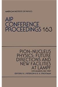 Pion-Nucleus Physics: Future Directions and New Facilities at Lampf