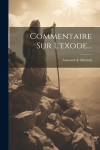 Commentaire Sur L'exode...