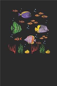 Fish With Corals