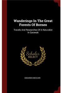Wanderings In The Great Forests Of Borneo