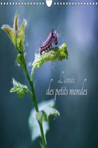 L'Annee Des Petits Mondes 2017