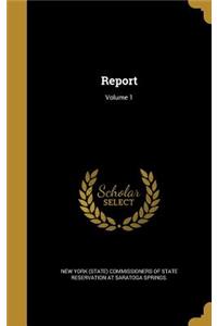 Report; Volume 1