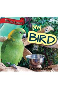 My Bird