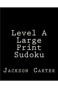 Level A Large Print Sudoku