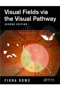 Visual Fields via the Visual Pathway