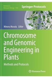 Chromosome and Genomic Engineering in Plants