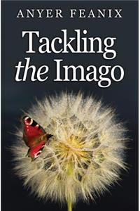 Tackling the Imago
