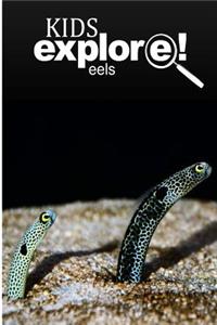 Eels - Kids Explore
