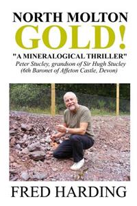 North Molton Gold