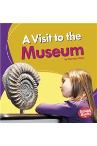 Visit To The Museum