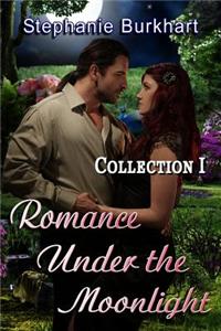 Romance Under the Moonlight