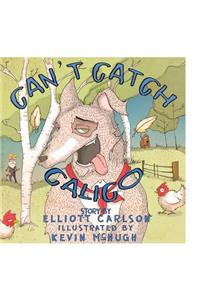 Can't Catch Calico